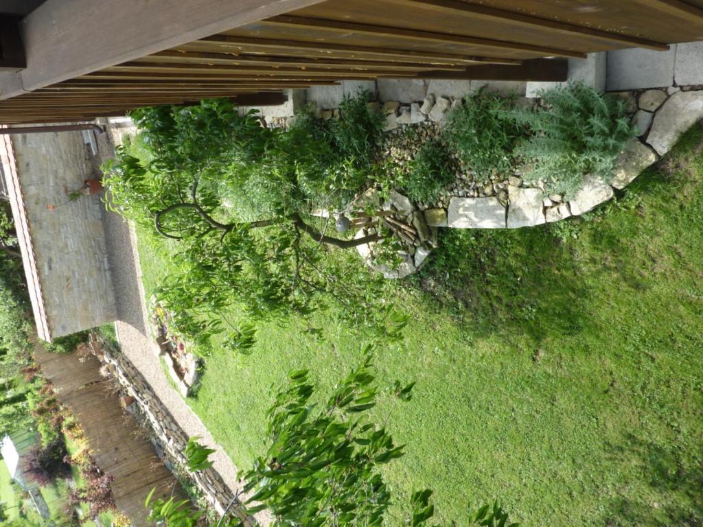 Holubník statečných žen králových Hotel Luže Quarto foto